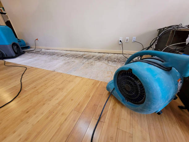Professional Structural Drying technician working in West Forks, ME